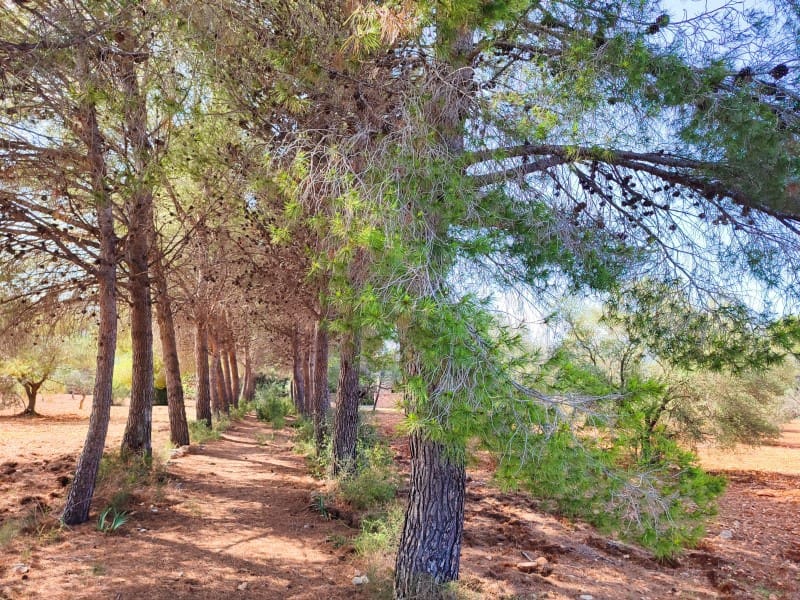 4 soveværelse Finca/Landehus til salg i Peniscola med garage - € 279.000 (Ref: 9021335)