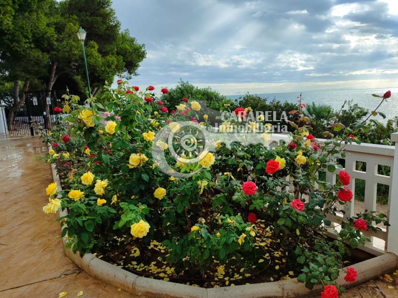 2 sovrum Lägenhet till salu i Peniscola med pool - 223 000 € (Ref: 9368927)