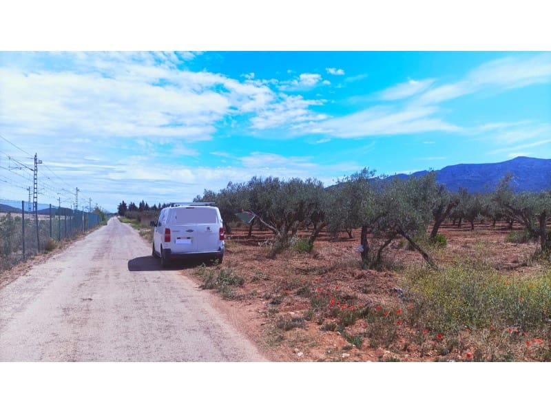 Ubebygd land til salgs i Ulldecona - € 7 000 (Ref: 9414312)