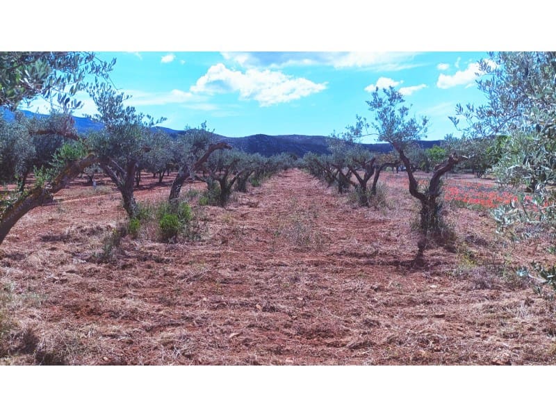 Ubebygd land til salgs i Ulldecona - € 7 000 (Ref: 9414312)
