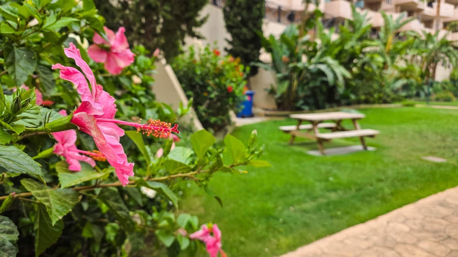 2 quarto Apartamento para venda em La Duquesa / Puerto de la Duquesa com piscina garagem - 270 000 € (Ref: 10026574)