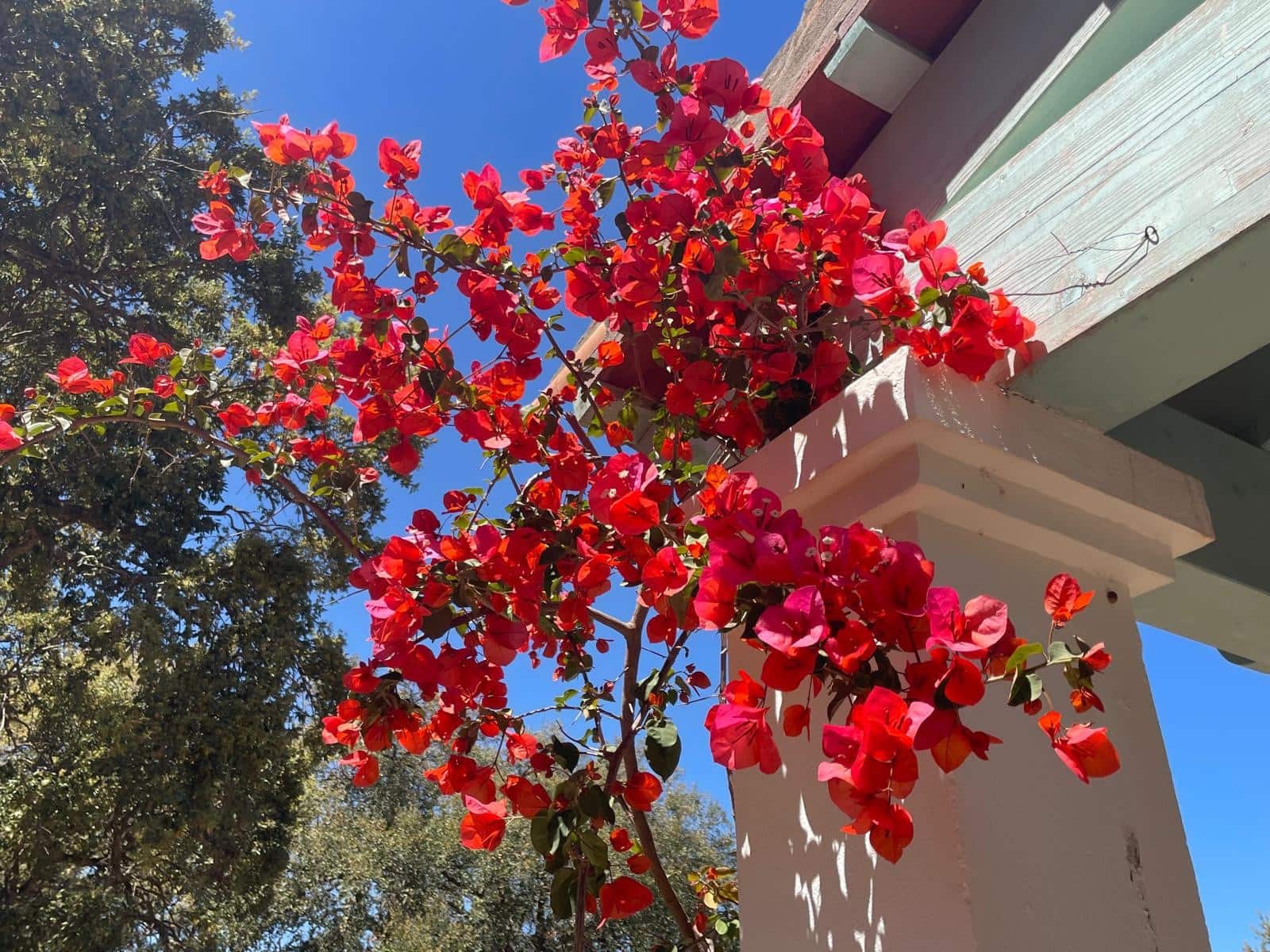 4 sypialnia Willa na sprzedaż w Sotogrande z basenem garażem - 1 190 000 € (Ref: 9227451)