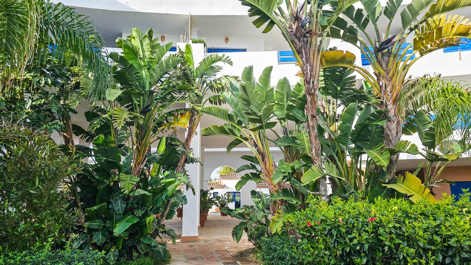 2 bedroom Apartment for sale in Manilva with pool garage - € 369,000 (Ref: 9496800)