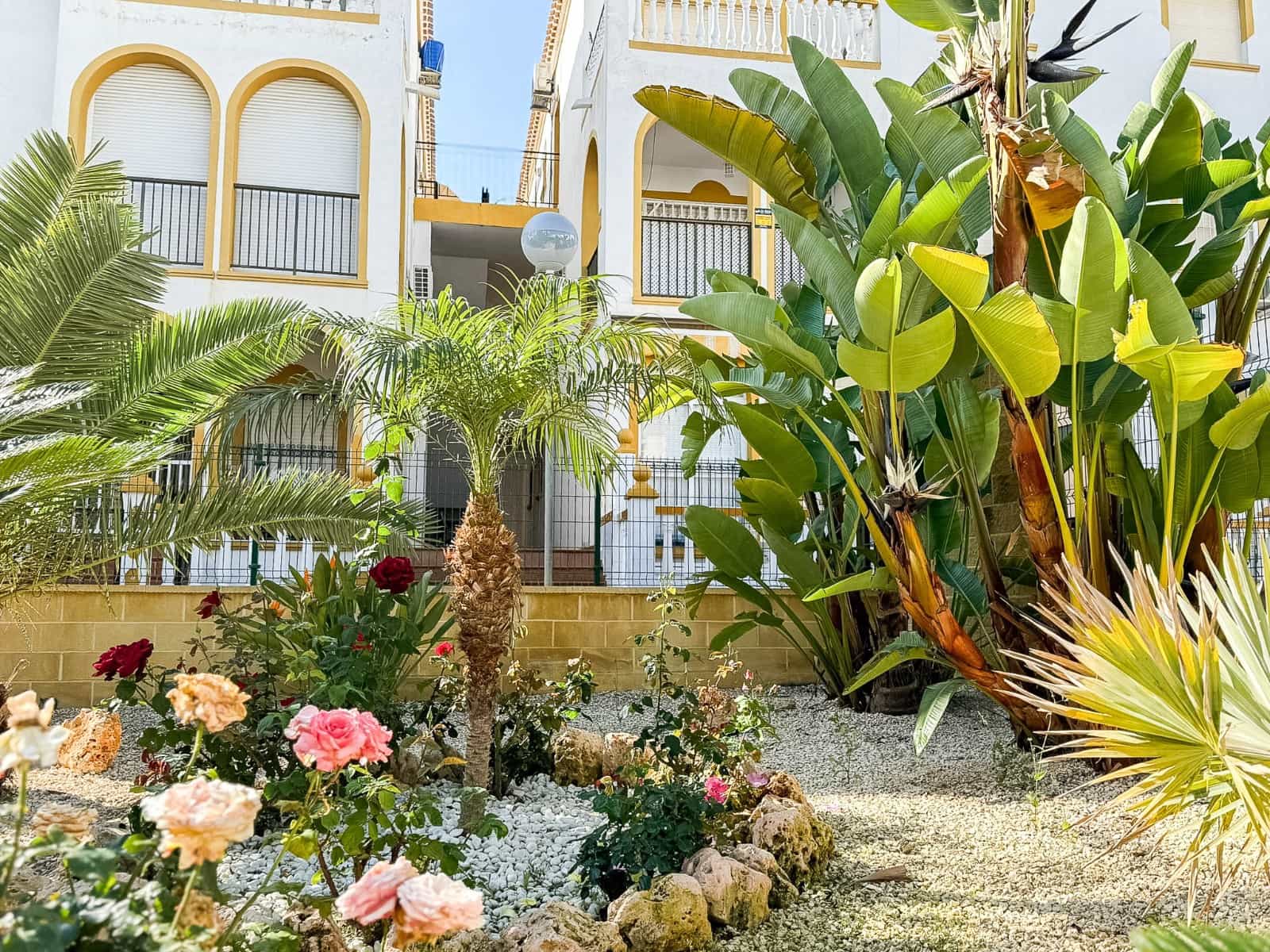 3 camera da letto Attico in vendita in La Mata con piscina - 269.000 € (Rif: 9569972)