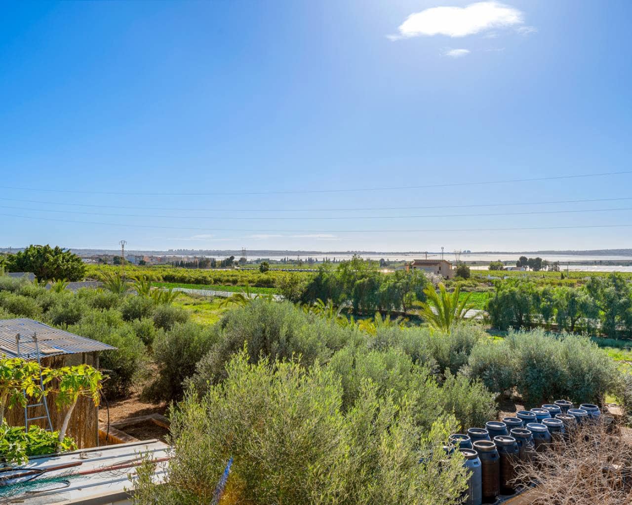 6 bedroom Finca/Country House for sale in Los Montesinos with pool - € 425,000 (Ref: 9598118)