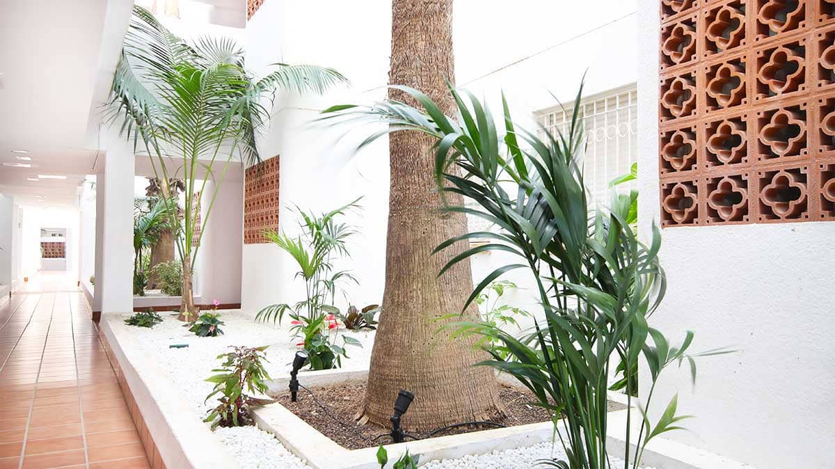 2 bedroom Apartment for sale in Los Dolses with pool garage - € 229,900 (Ref: 9550032)