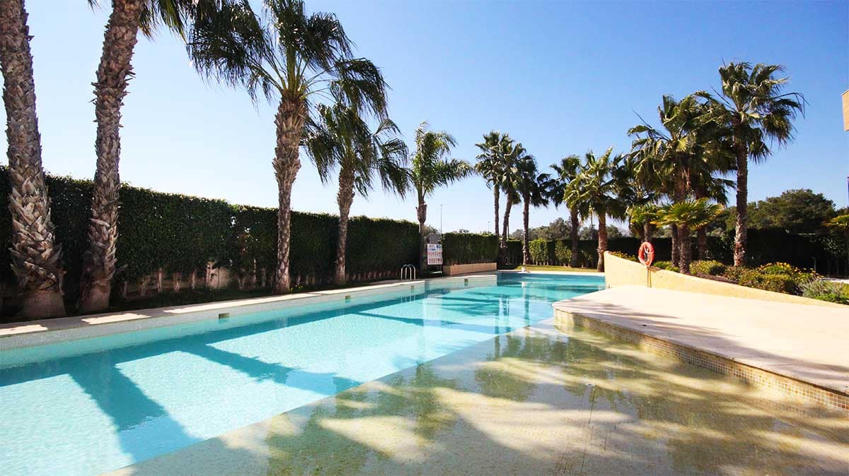 2 chambre Appartement à vendre à Los Altos avec piscine garage - 269 950 € (Ref: 9678221)