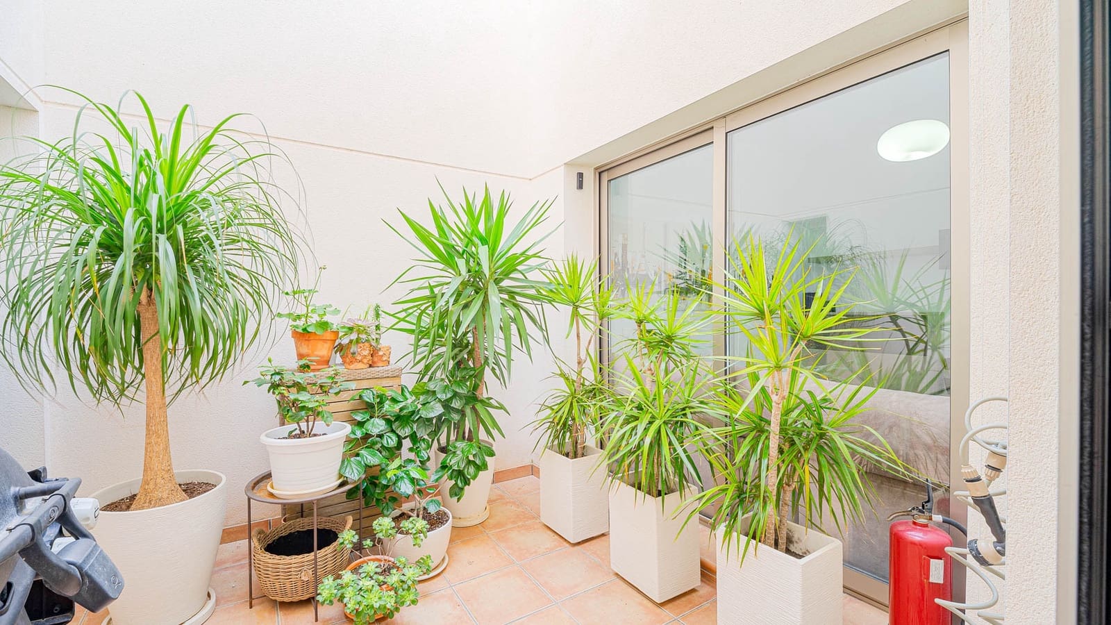 3 soverom Hus til salgs i Punta Prima med svømmebasseng garasje - € 355 000 (Ref: 9841973)