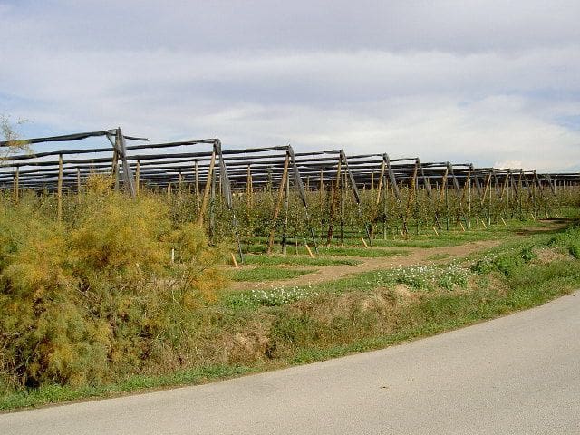 Finca/Herregård til salgs i Sant Pere Pescador - € 40 000 (Ref: 6281685)