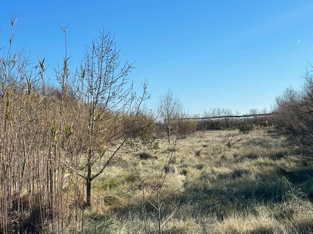 Finka/Dom wiejski na sprzedaż w Sant Pere Pescador - 45 000 € (Ref: 6281685)