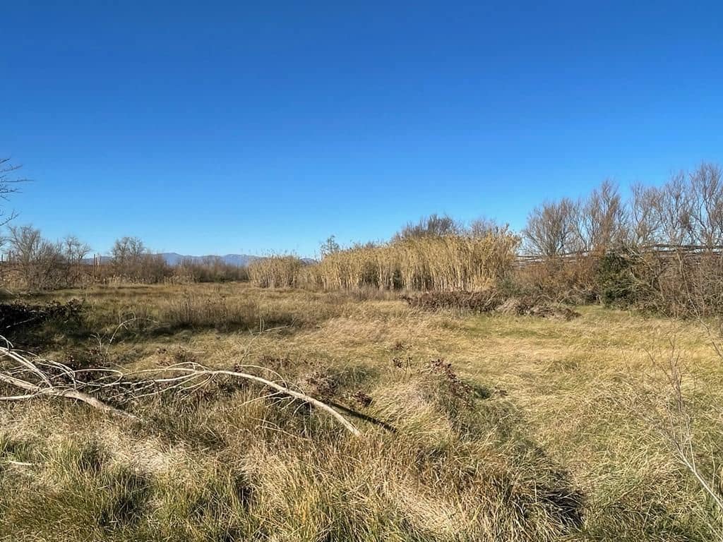 Finka/Dom wiejski na sprzedaż w Sant Pere Pescador - 45 000 € (Ref: 6281685)