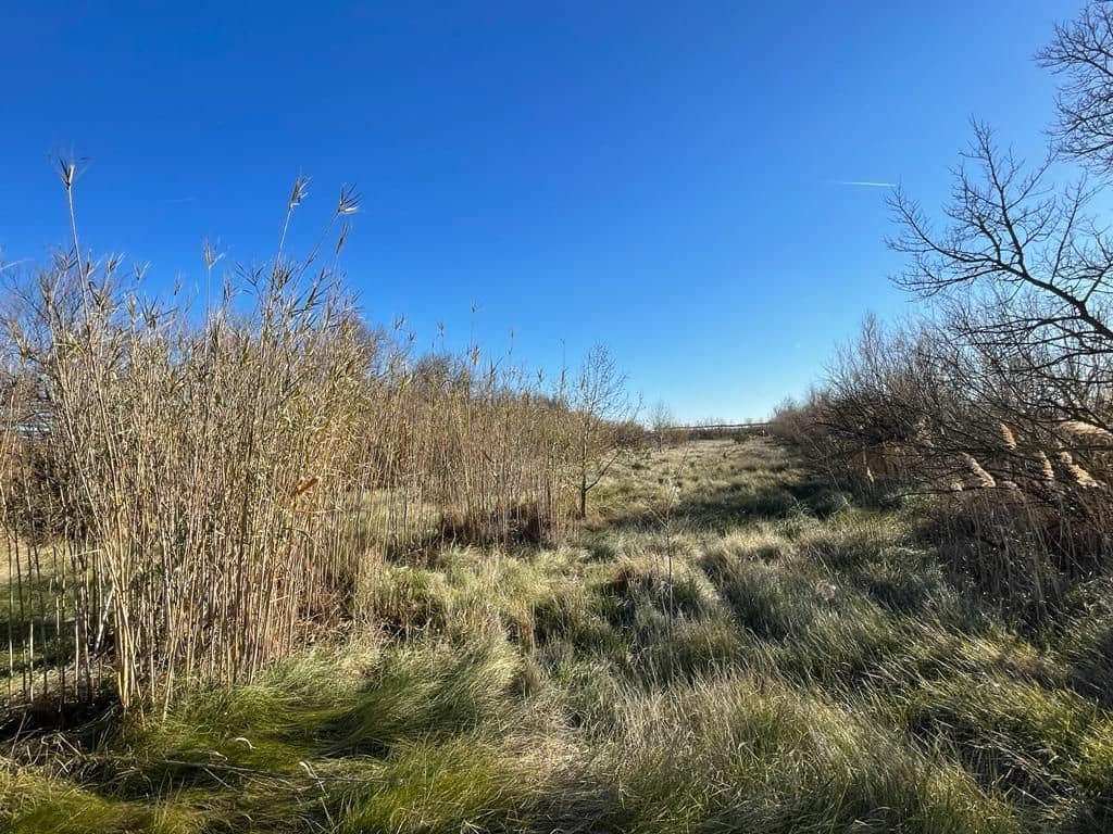 Finka/Dom wiejski na sprzedaż w Sant Pere Pescador - 45 000 € (Ref: 6281685)