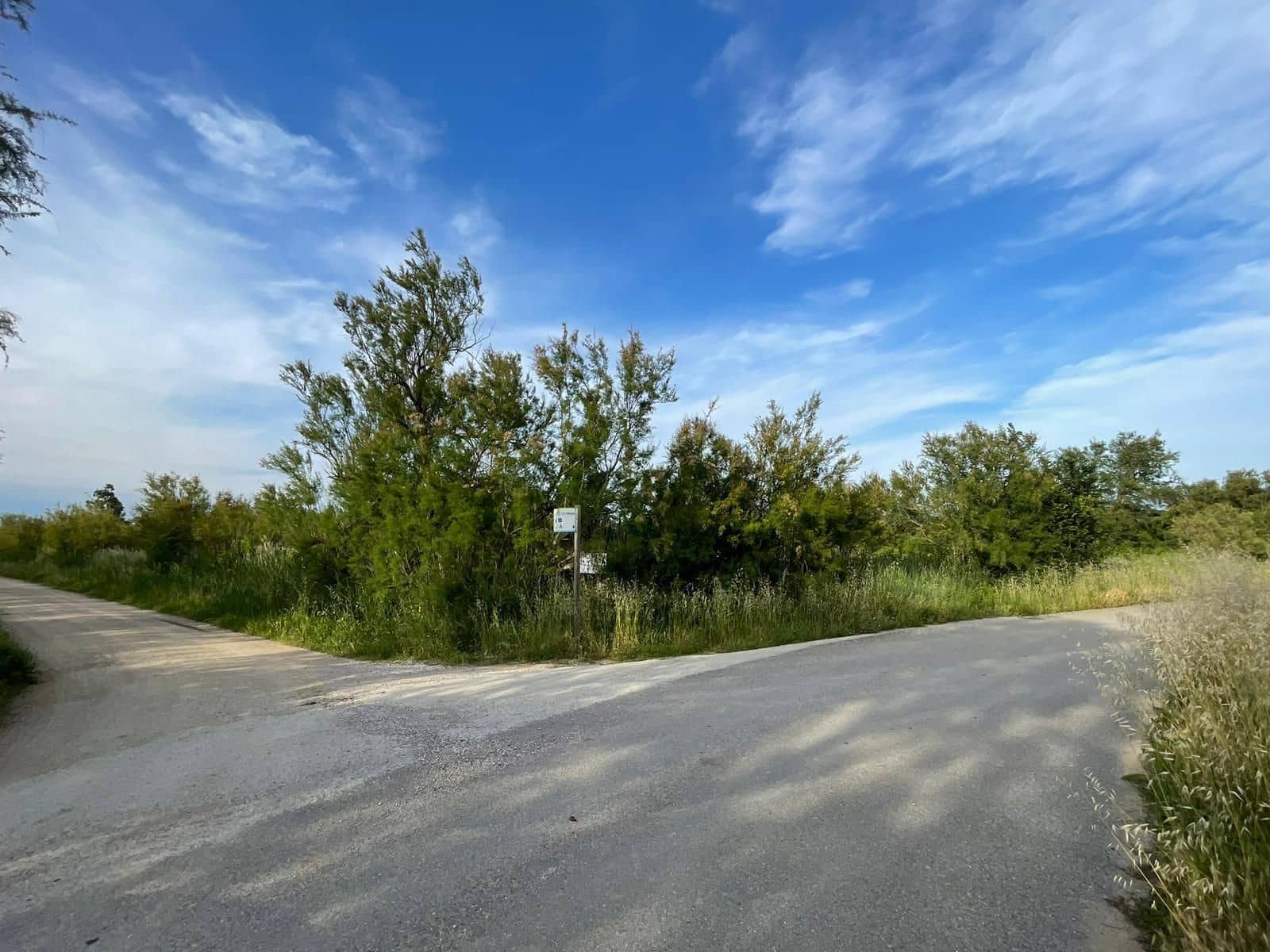 Finka/Dom wiejski na sprzedaż w Sant Pere Pescador - 45 000 € (Ref: 6281685)