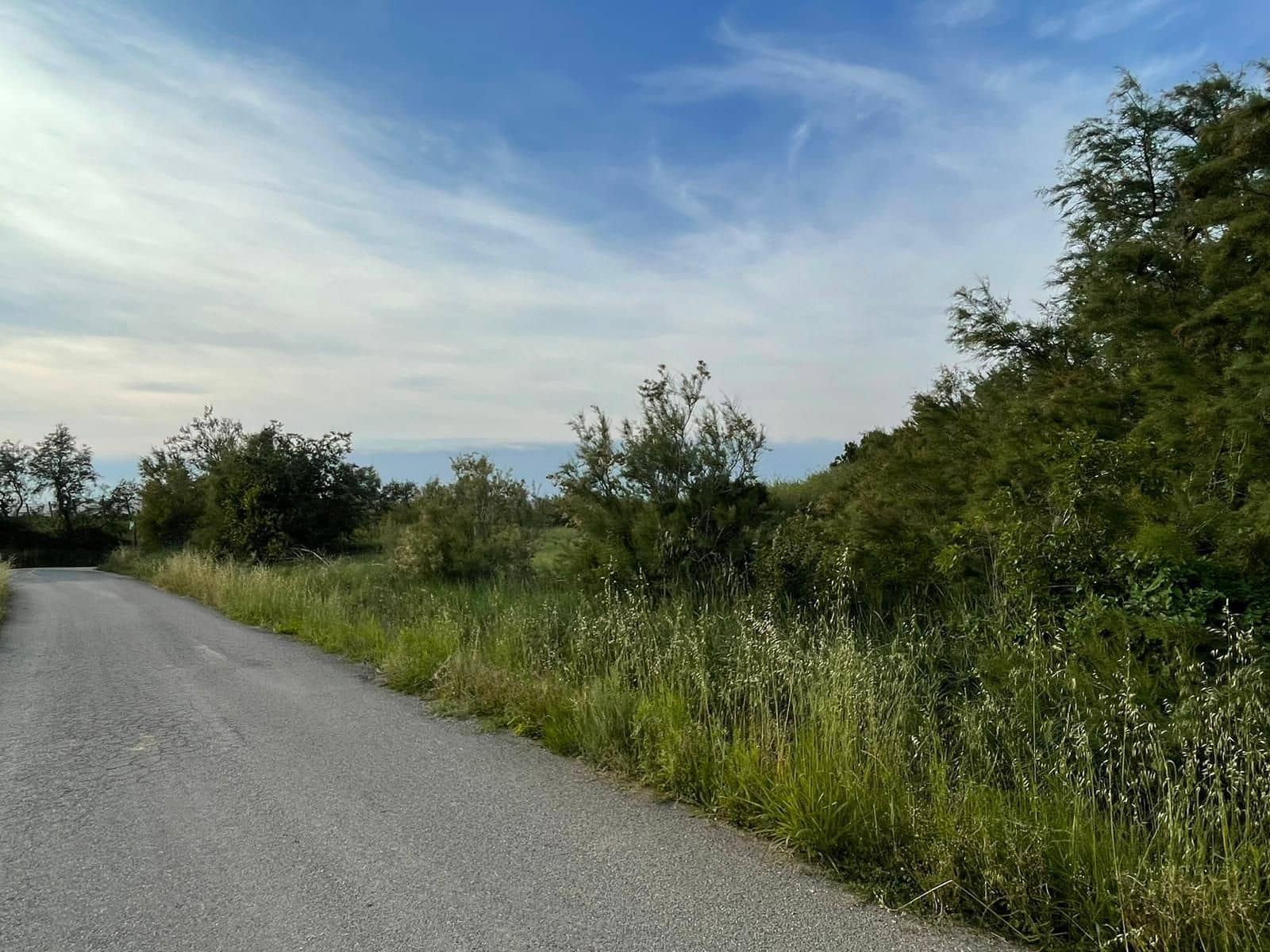 Finka/Dom wiejski na sprzedaż w Sant Pere Pescador - 45 000 € (Ref: 6281685)