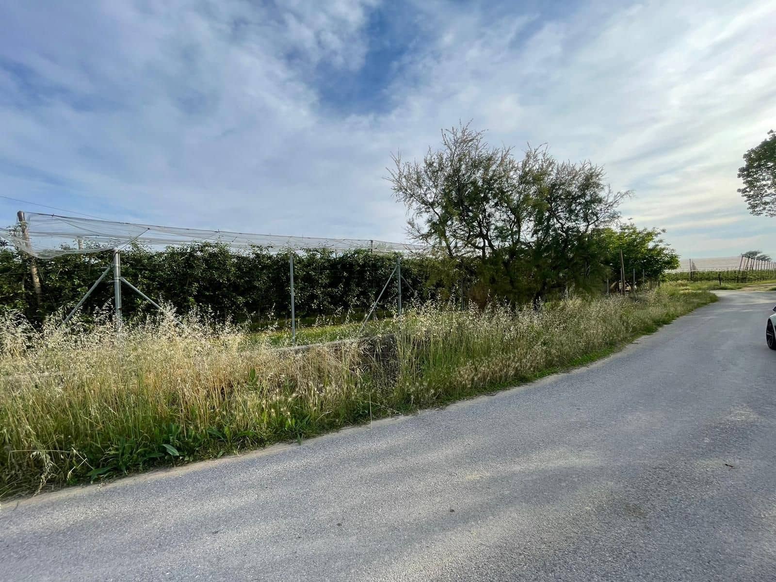 Finka/Dom wiejski na sprzedaż w Sant Pere Pescador - 45 000 € (Ref: 6281685)