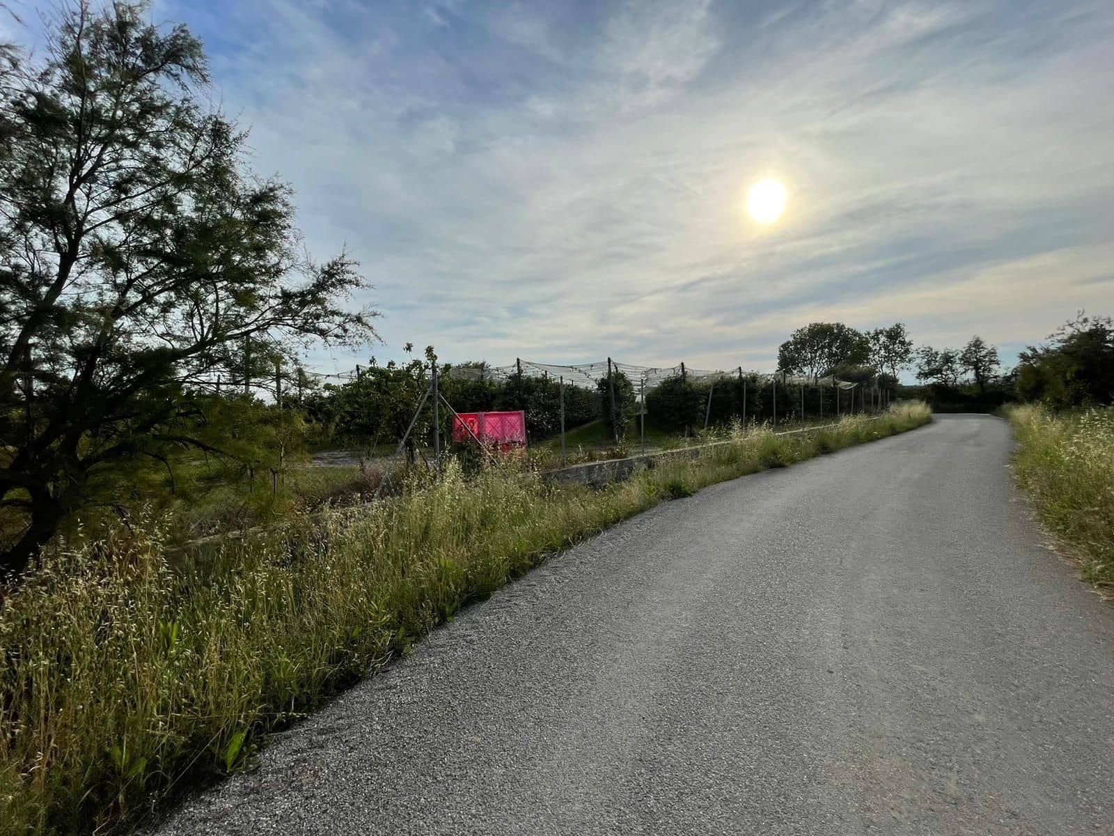 Finka/Dom wiejski na sprzedaż w Sant Pere Pescador - 45 000 € (Ref: 6281685)