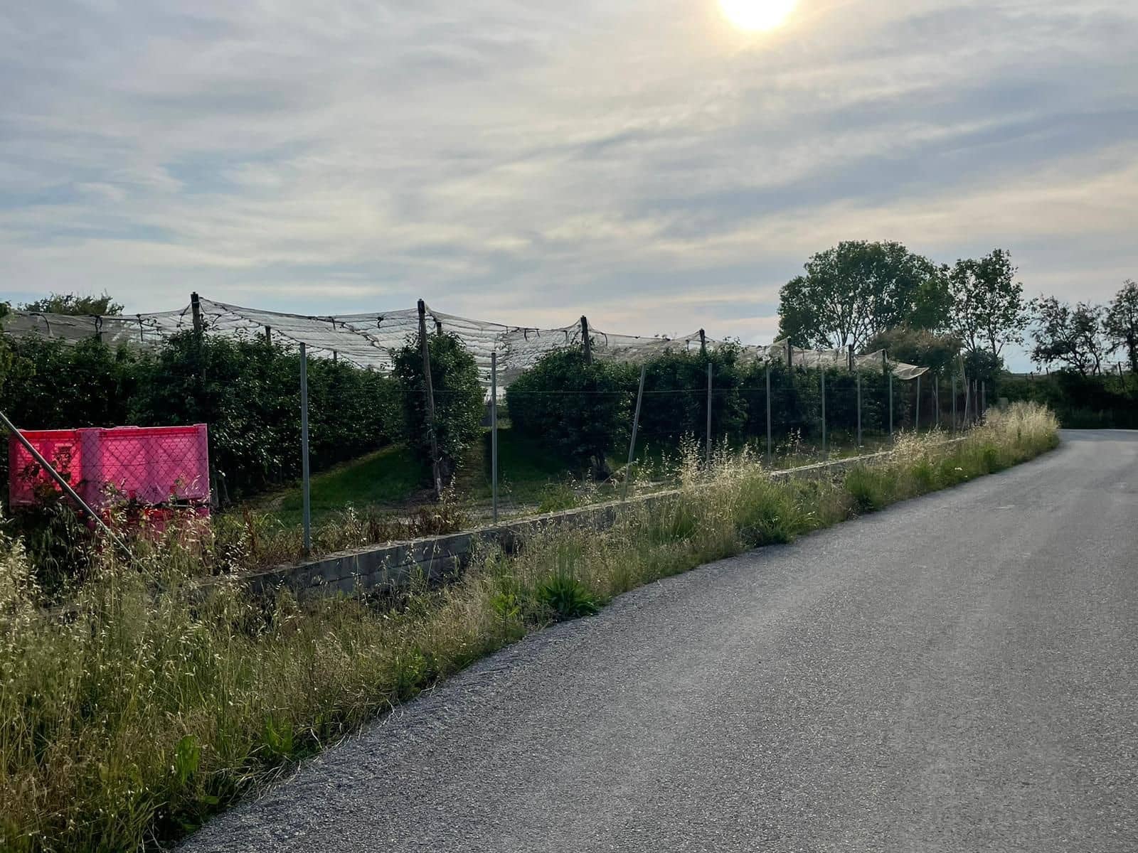 Finka/Dom wiejski na sprzedaż w Sant Pere Pescador - 45 000 € (Ref: 6281685)