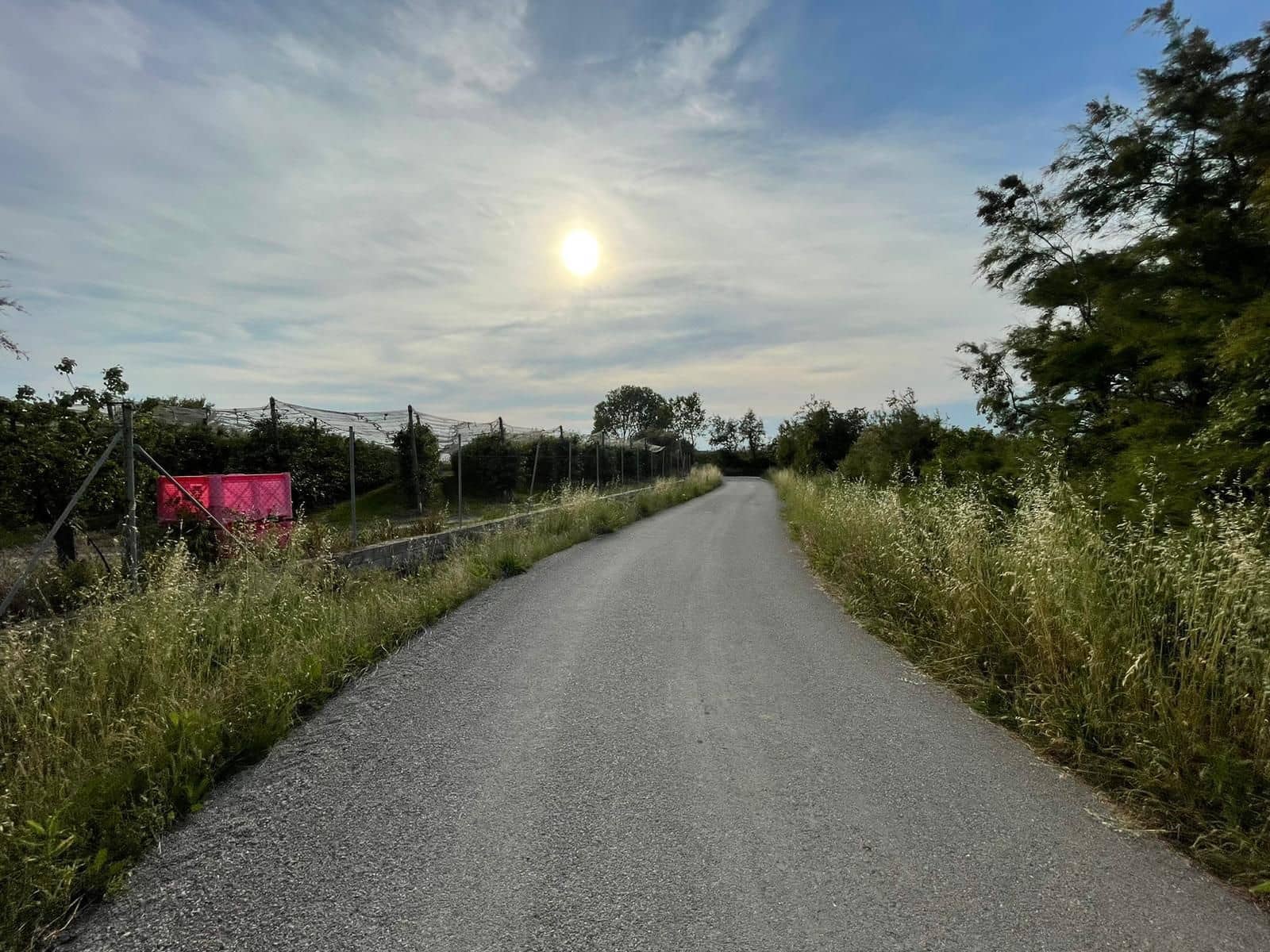 Finka/Dom wiejski na sprzedaż w Sant Pere Pescador - 45 000 € (Ref: 6281685)