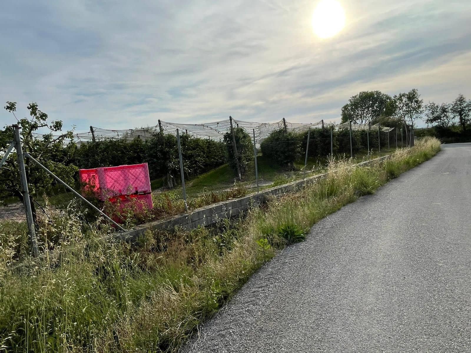 Finka/Dom wiejski na sprzedaż w Sant Pere Pescador - 45 000 € (Ref: 6281685)