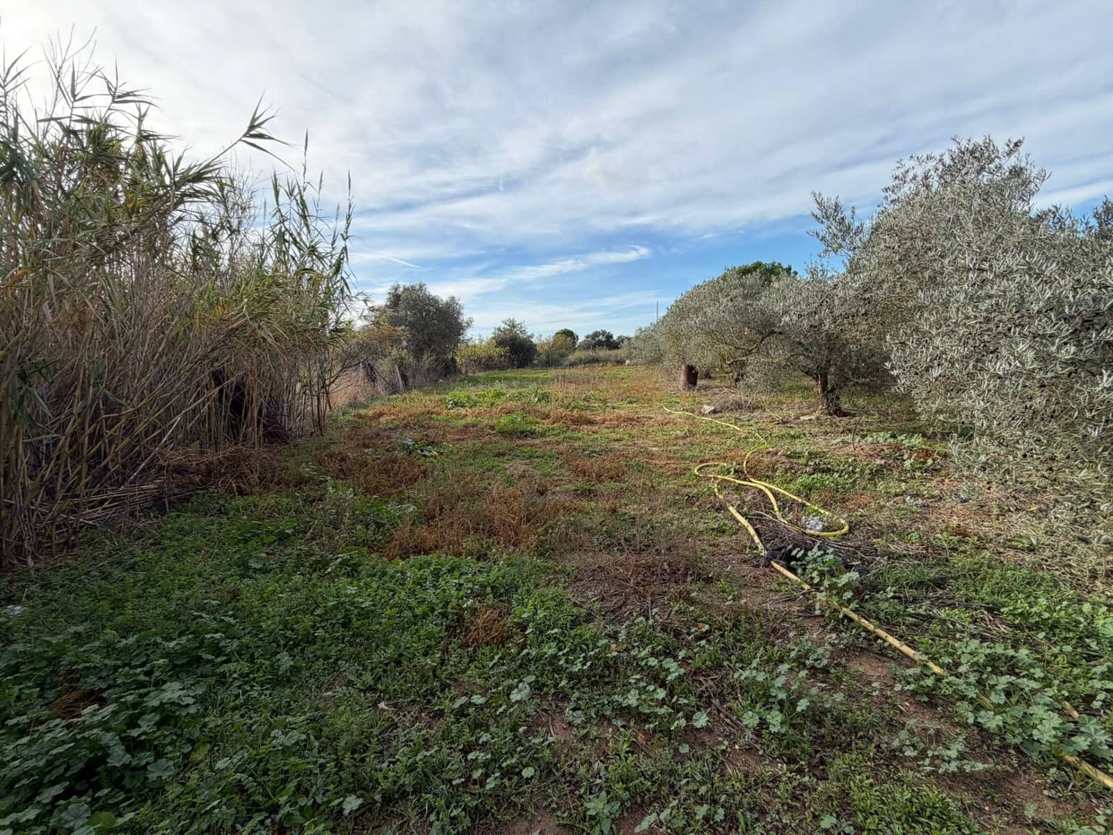 Finca/Landehus til salg i Roses - € 110.000 (Ref: 9385152)