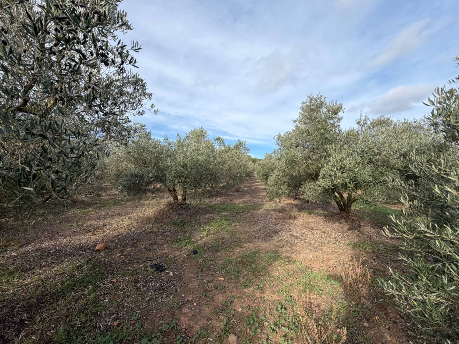 Finca/Landehus til salg i Roses - € 110.000 (Ref: 9385152)