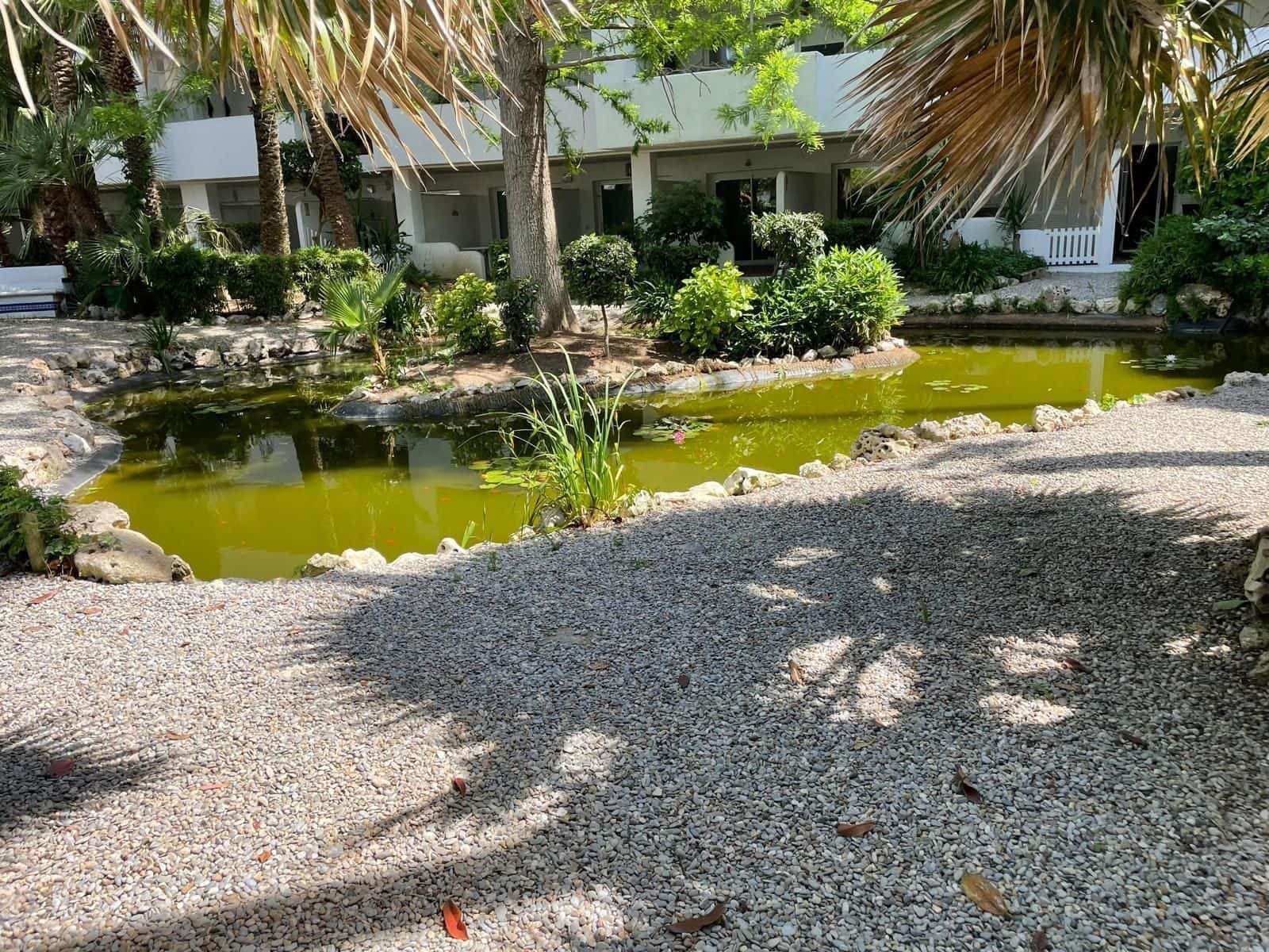 1 bedroom Apartment for sale in Roses with pool garage - € 129,900 (Ref: 9826168)