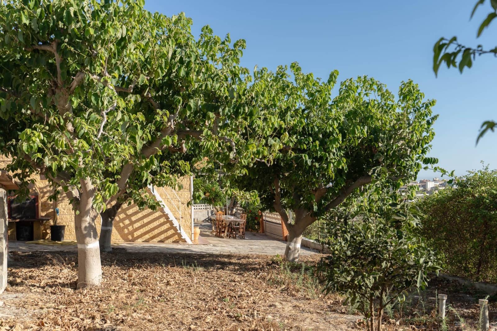 1 chambre Finca/Maison de Campagne à vendre à Motril avec garage - 175 000 € (Ref: 9946153)