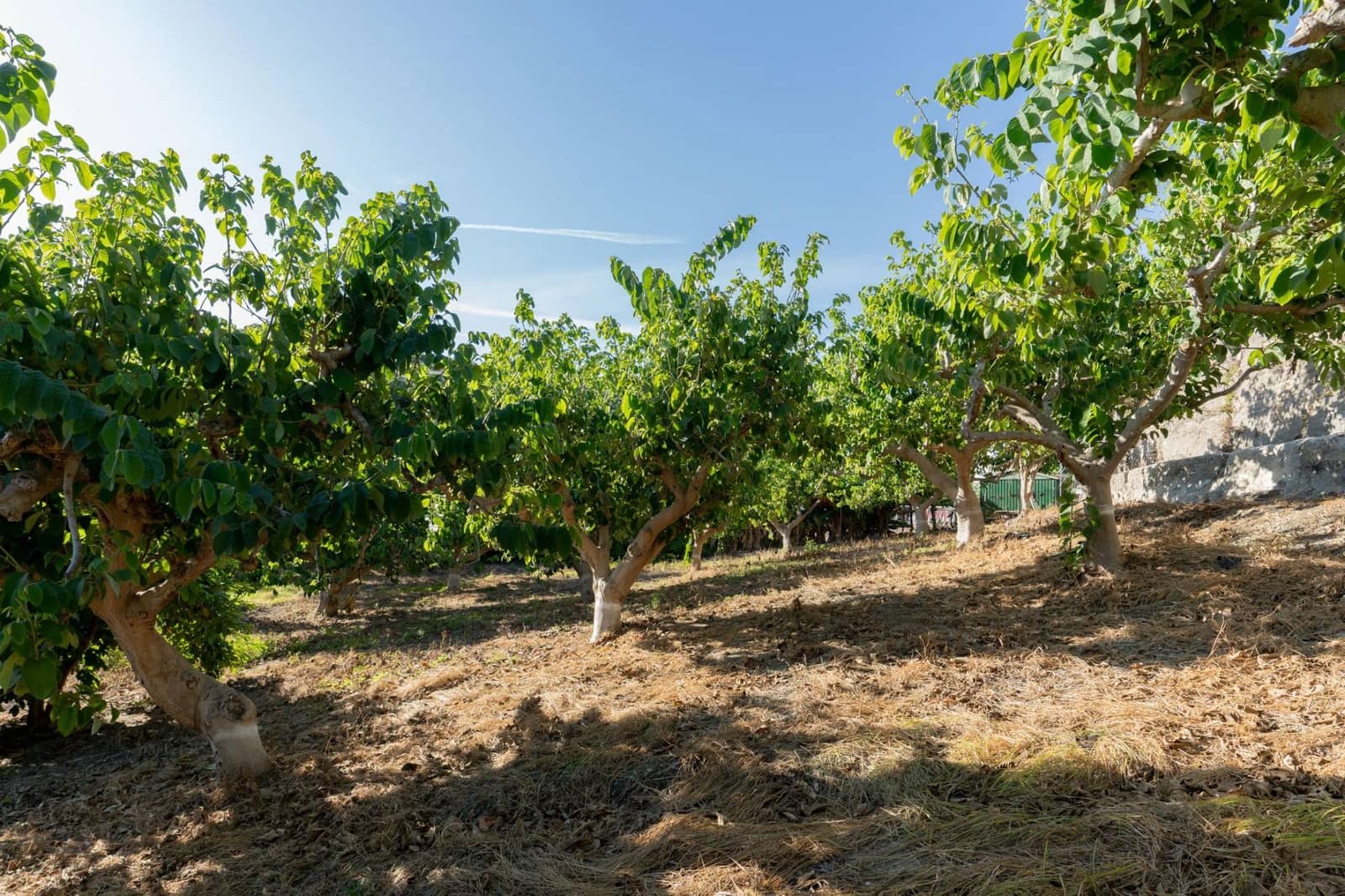 1 chambre Finca/Maison de Campagne à vendre à Motril avec garage - 175 000 € (Ref: 9946153)