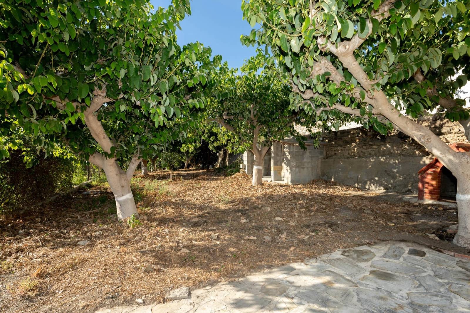 1 chambre Finca/Maison de Campagne à vendre à Motril avec garage - 175 000 € (Ref: 9946153)