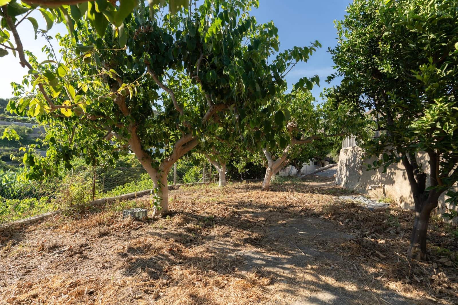 1 chambre Finca/Maison de Campagne à vendre à Motril avec garage - 175 000 € (Ref: 9946153)