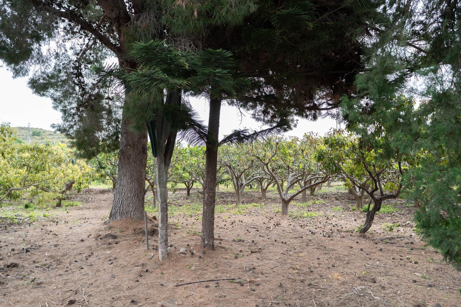Terreno Non Edificato in vendita in Motril - 120.000 € (Rif: 9946193)