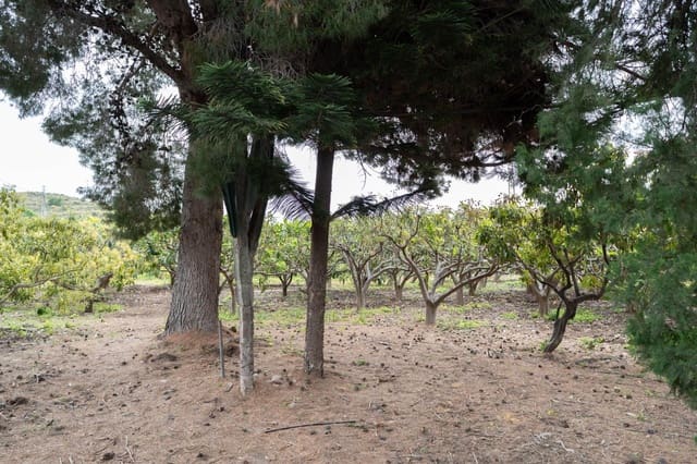 Terreno Non Edificato in vendita in Motril - 120.000 € (Rif: 9946193)