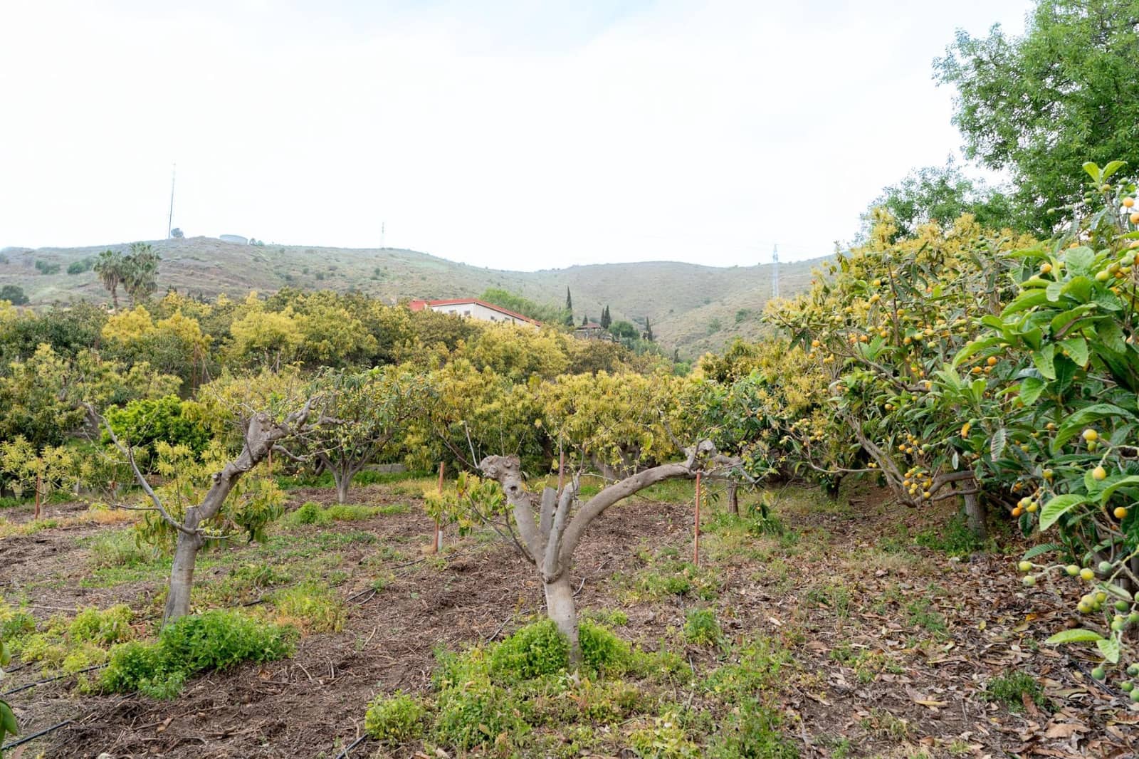 Terreno Non Edificato in vendita in Motril - 120.000 € (Rif: 9946193)