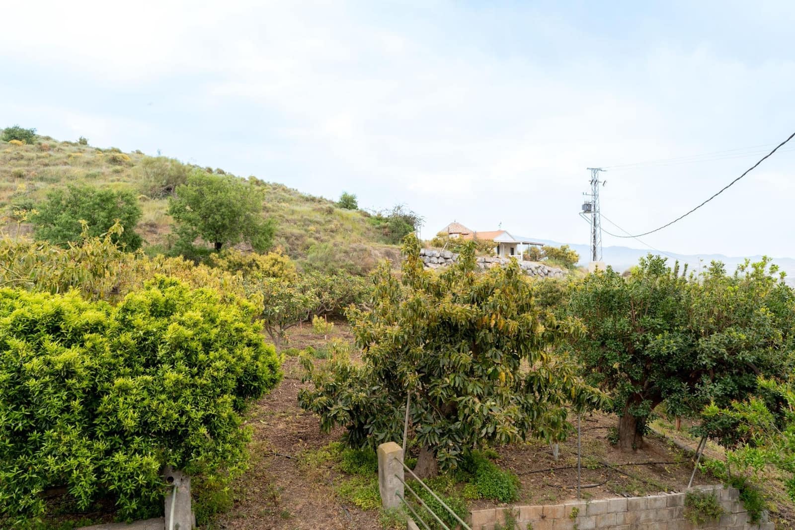 Terreno Non Edificato in vendita in Motril - 120.000 € (Rif: 9946193)