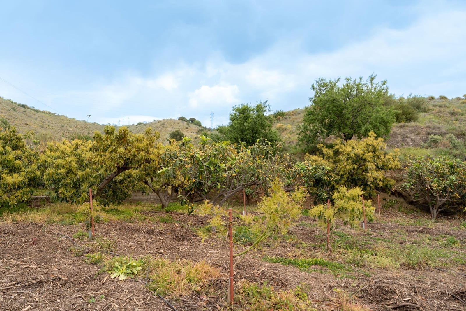 Terreno Non Edificato in vendita in Motril - 120.000 € (Rif: 9946193)