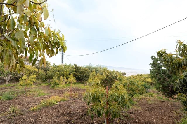 Terreno Non Edificato in vendita in Motril - 120.000 € (Rif: 9946193)