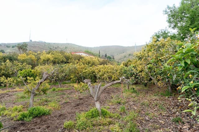 Terreno Non Edificato in vendita in Motril - 120.000 € (Rif: 9946193)