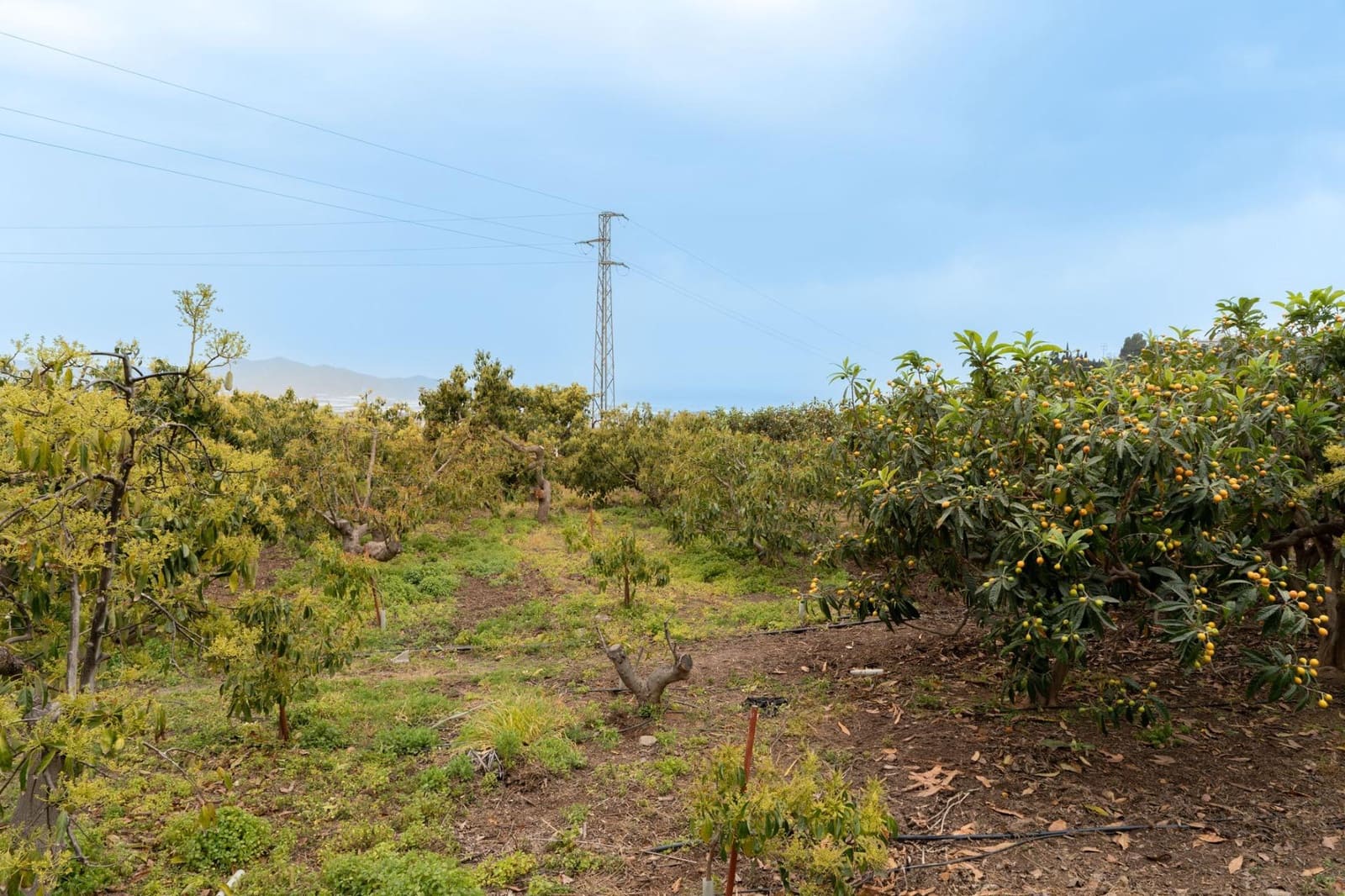 Terreno Non Edificato in vendita in Motril - 120.000 € (Rif: 9946193)