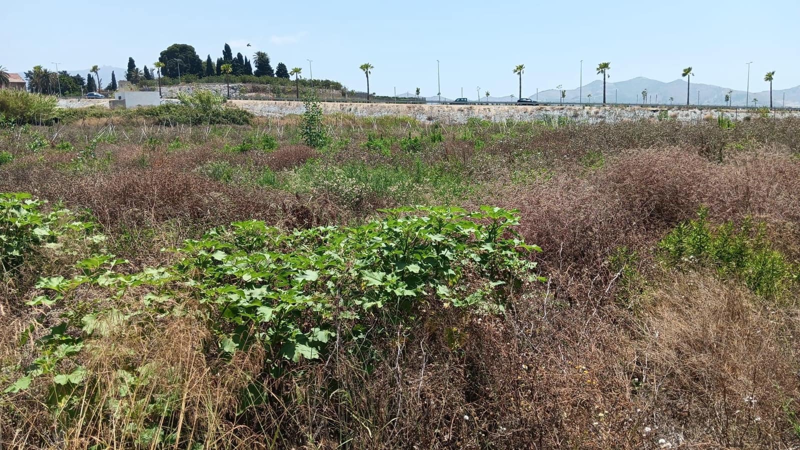Bouwgrond te koop in Motril - € 350.000 (Ref: 9946229)