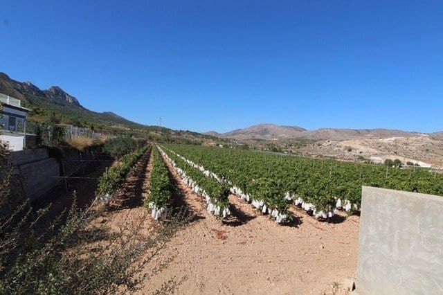 Byggetomt til salgs i La Romana - € 46 000 (Ref: 6337922)