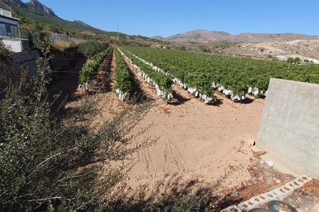 Bouwgrond te koop in La Romana - € 46.000 (Ref: 6337922)