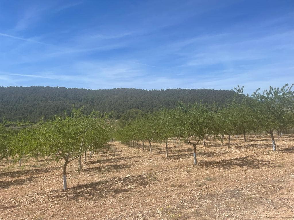 Bouwgrond te koop in La Romana - € 77.000 (Ref: 7545697)