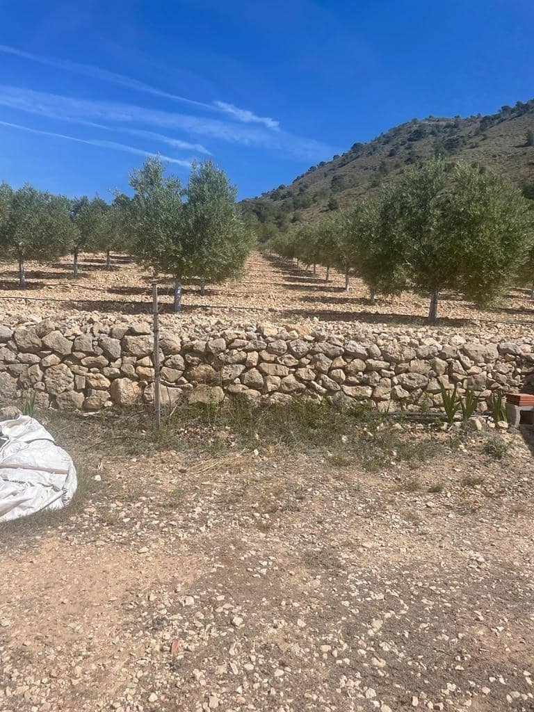 Bouwgrond te koop in La Romana - € 77.000 (Ref: 7545697)