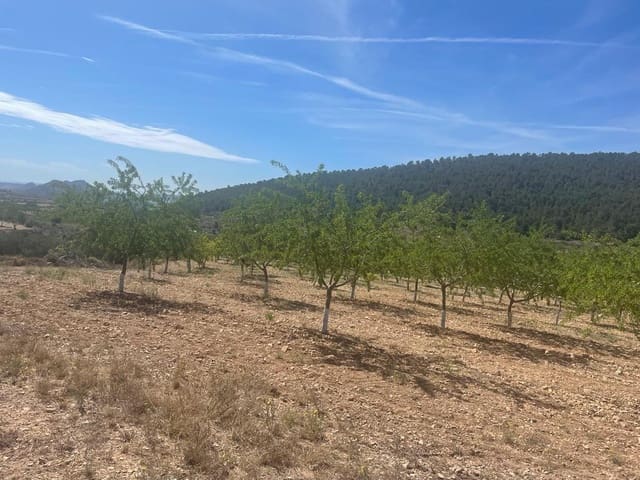 Bouwgrond te koop in La Romana - € 77.000 (Ref: 7545697)