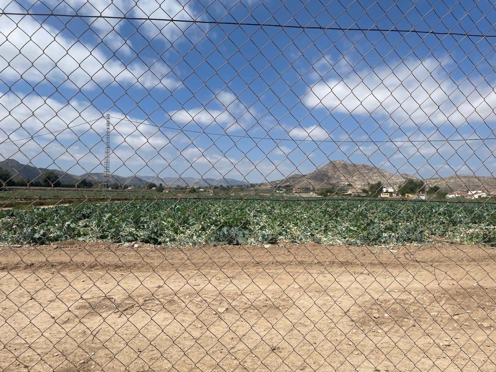 Area Edificabile in vendita in Aspe - 145.000 € (Rif: 8339734)