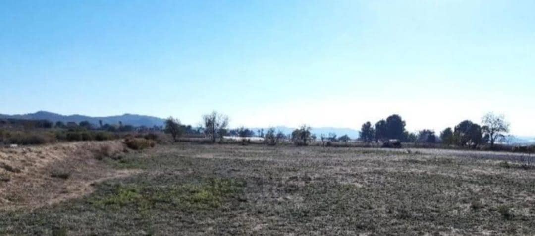 Rakentamaton maa myytävänä paikassa Aspe - 70 000 € (Ref: 9081695)