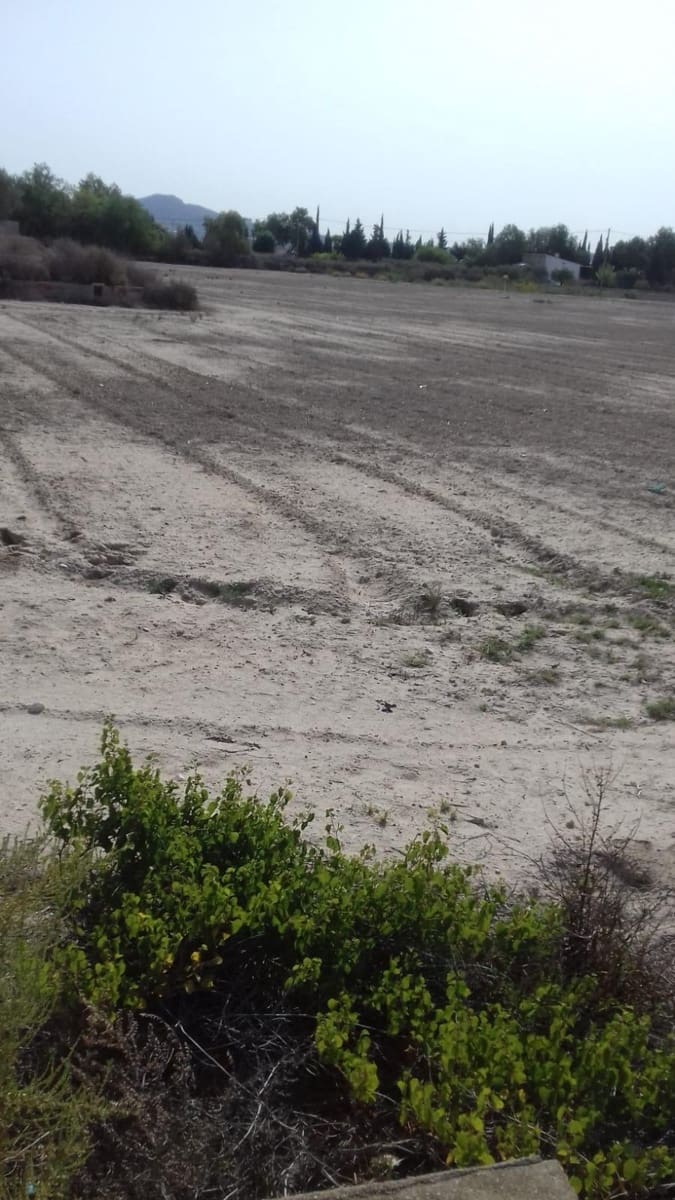 Rakentamaton maa myytävänä paikassa Aspe - 70 000 € (Ref: 9081695)