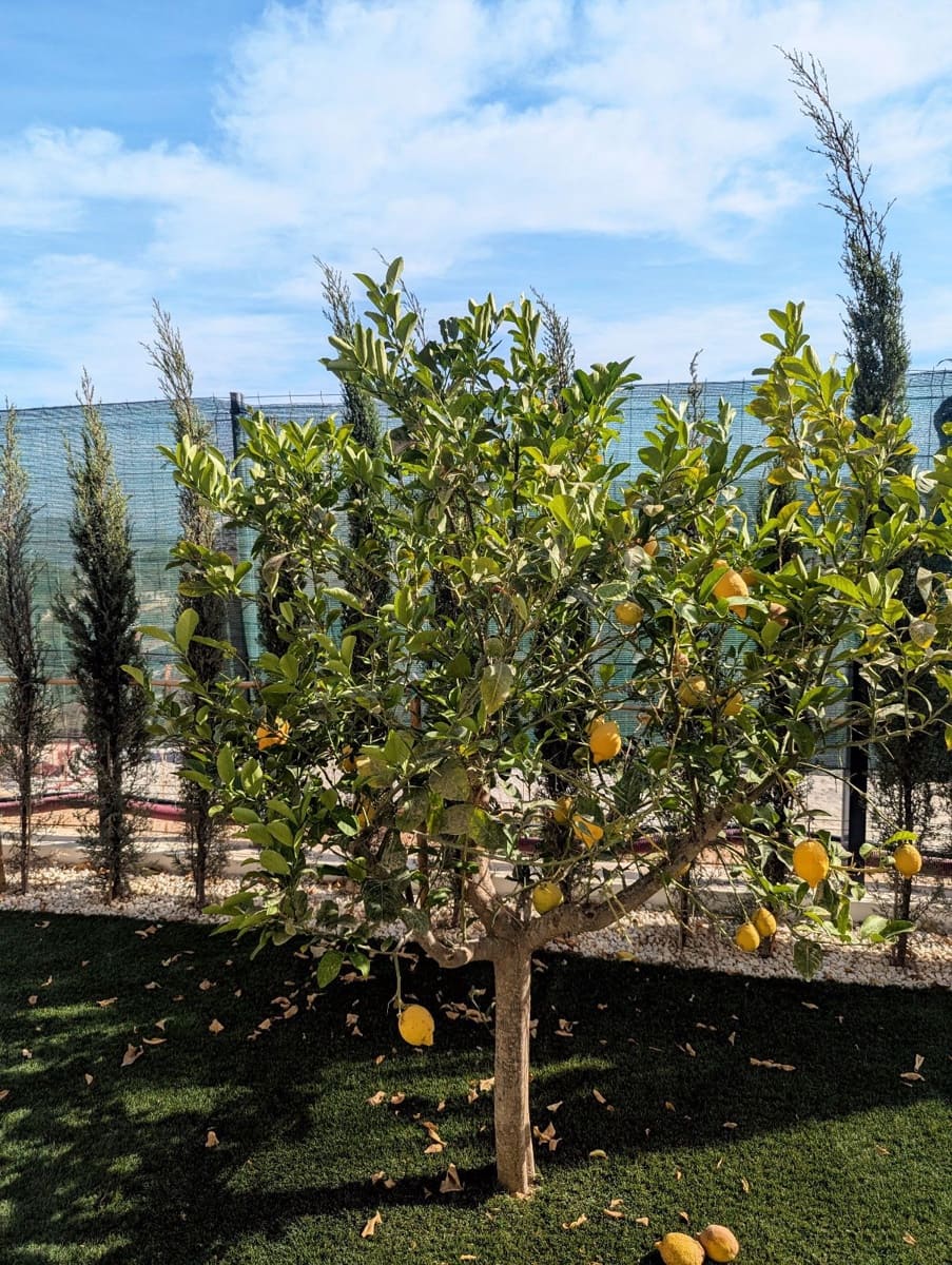 4 quarto Casa em Banda para venda em La Nucia com piscina garagem - 427 000 € (Ref: 9205731)