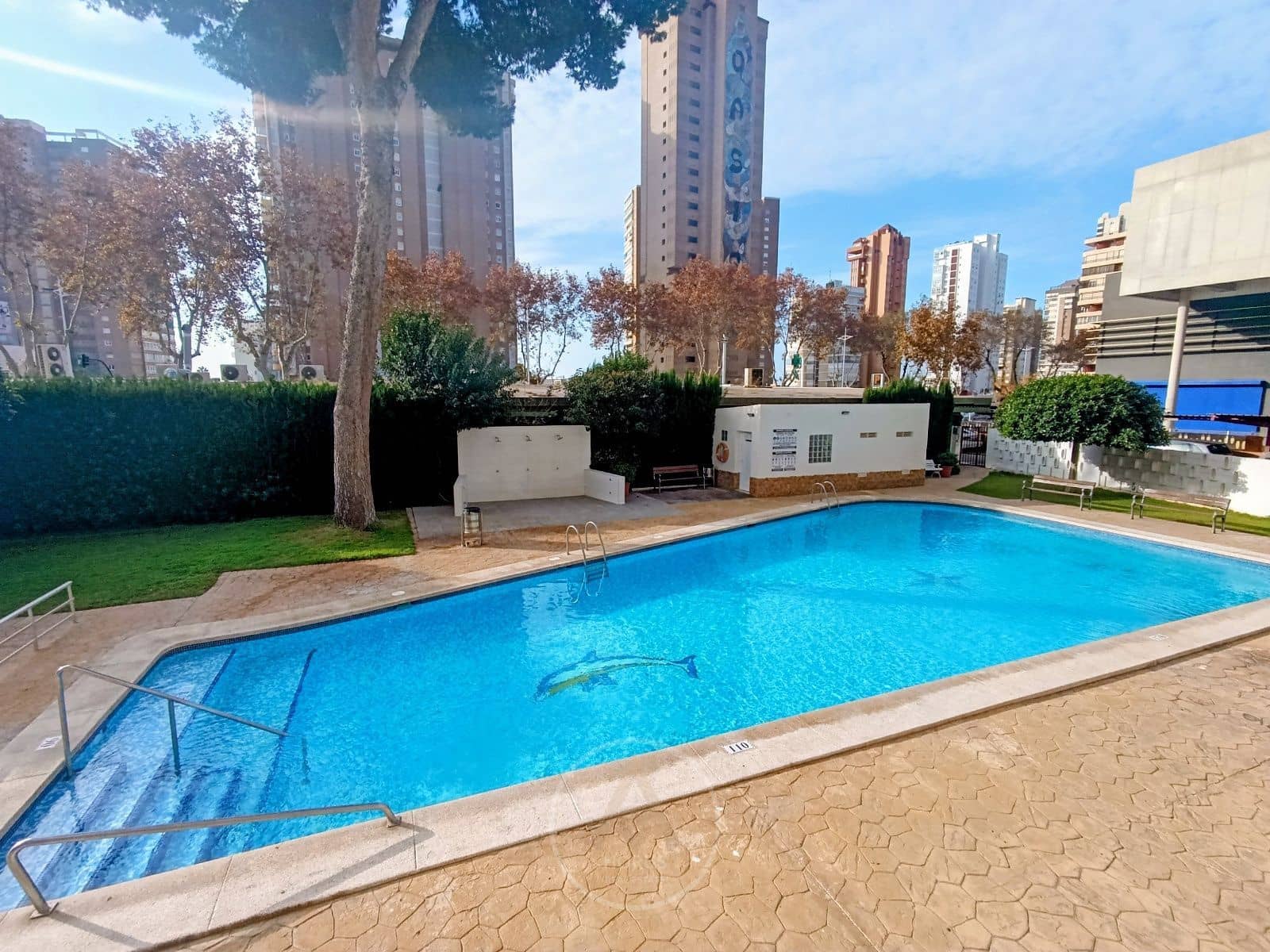 1 sypialnia Mieszkanie do wynajęcia w Benidorm z basenem - 850 € (Ref: 9465049)