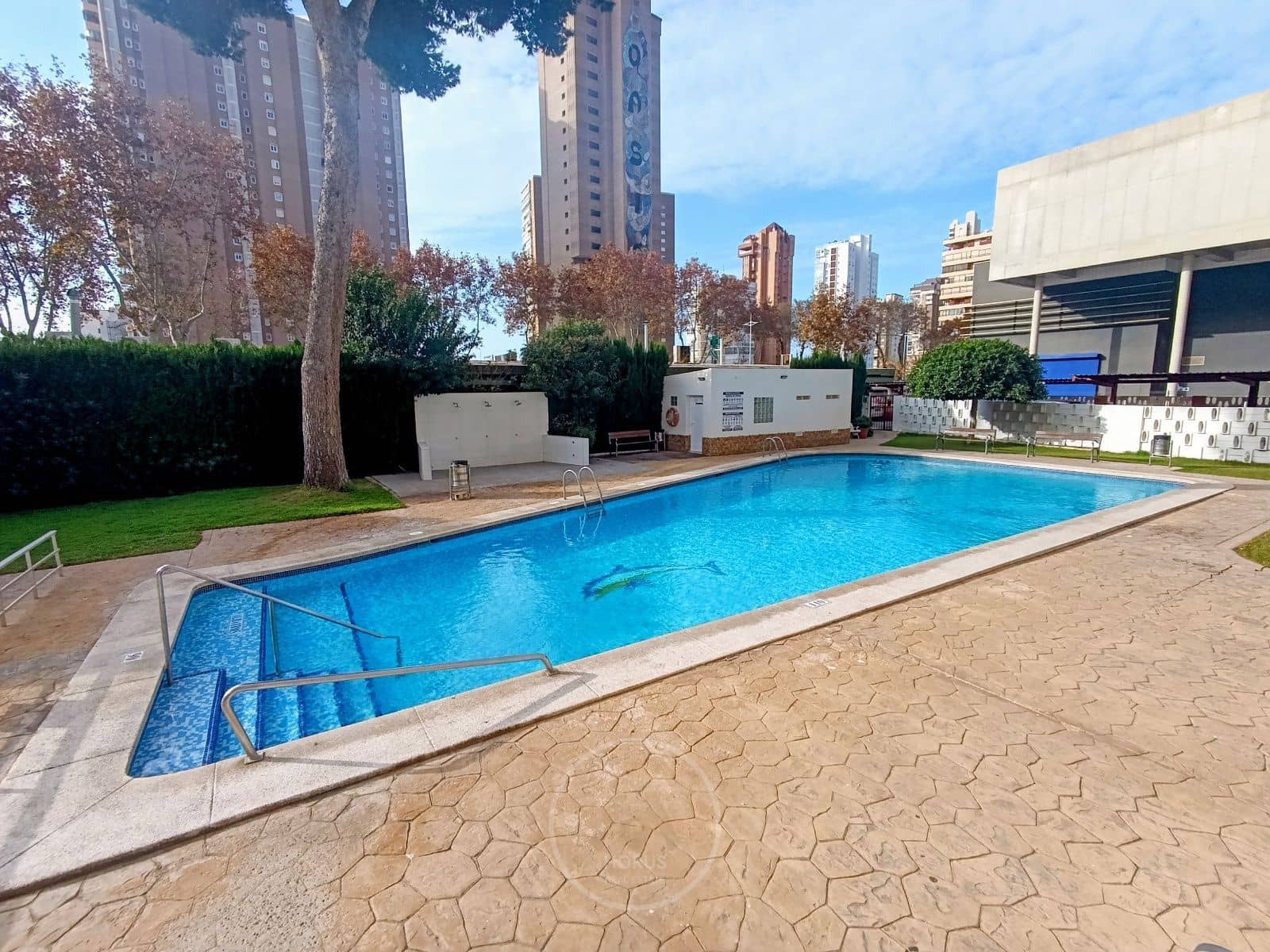 1 sypialnia Mieszkanie do wynajęcia w Benidorm z basenem - 850 € (Ref: 9465049)